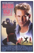 Amerikos nindzė 2 (American ninja 2. The Confrontation)