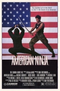 Amerikos nindzė (American ninja)